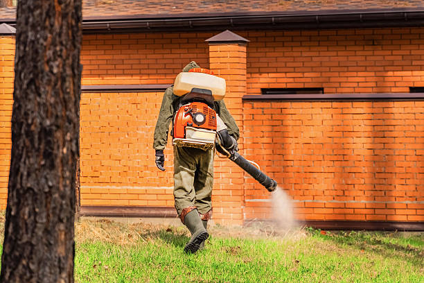 Trusted Fumigation Services service in Bolivar, WV - Nex Pest Control